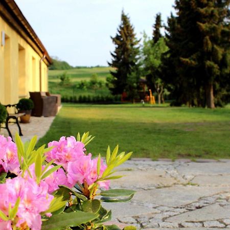 Apartament Feriendomizile Korswandt Zewnętrze zdjęcie