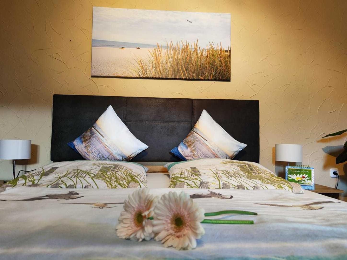 Apartament Feriendomizile Korswandt Zewnętrze zdjęcie